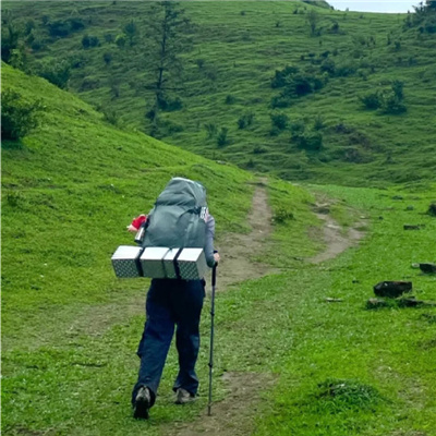 �¶�������������������(��ѡ100��)