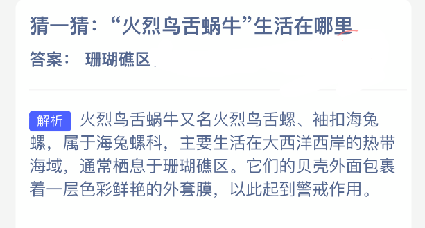 ��һ�£�����������ţ����������