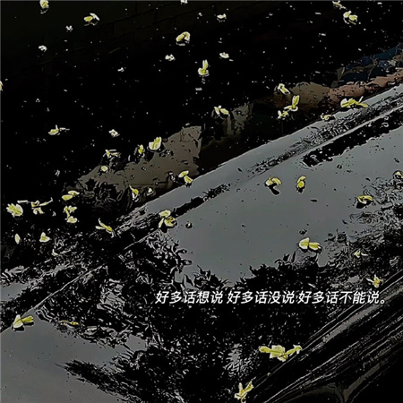 �Ӻ�ͼƬ�˸���������(��ѡ100��)