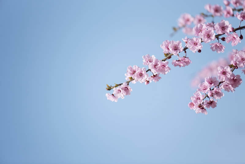 �����úܾõ�΢�Ÿ���ǩ��????