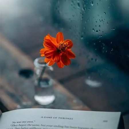 �˸��������������(��ѡ100��)