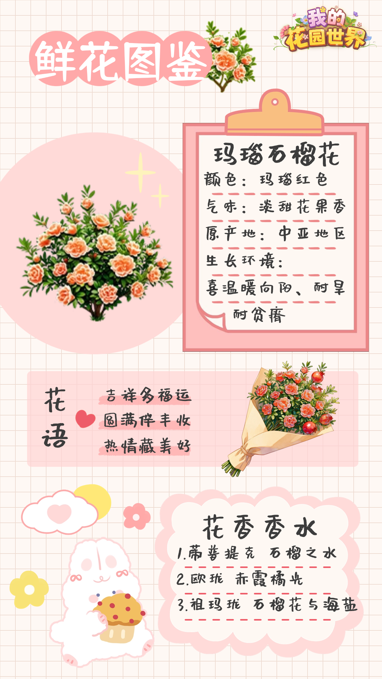 �ҵĻ�԰�������ʯ��ͼ��