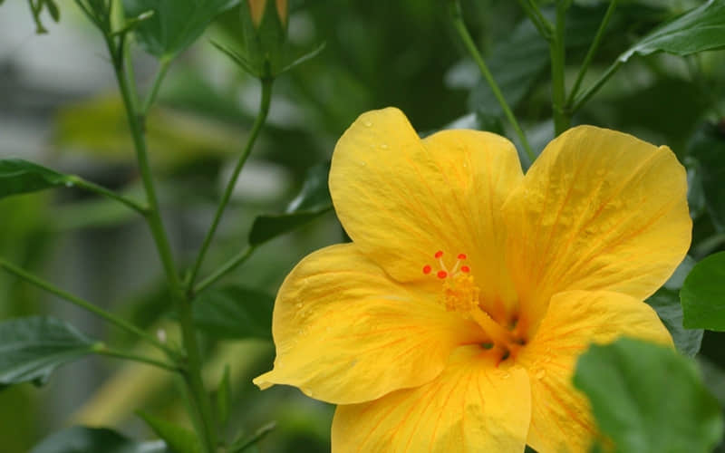 ��һ�仰����ĳ�˲��Ұ����㡱