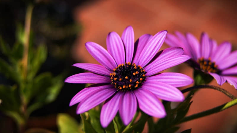 ��ʰһ����ȥЦ���������Ȧ��