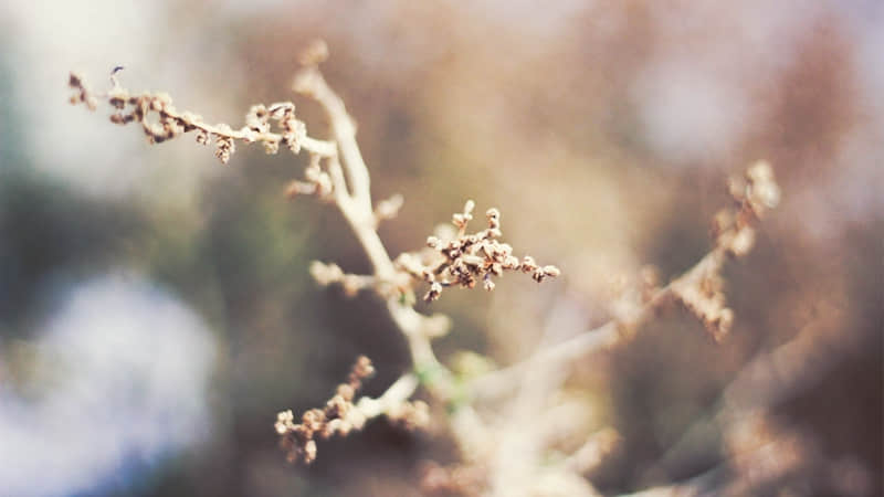 �ϰ����㣬Цһ����ķϻ���ѧ