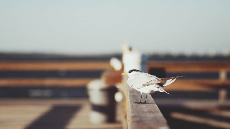 �����еĹ�ϵ���㲻Ҫ�ˣ������ͽ��ˡ�