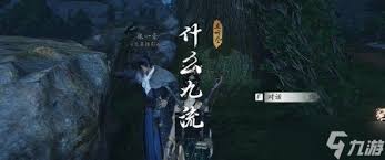 ����ʮ�������ʲô����������ô��