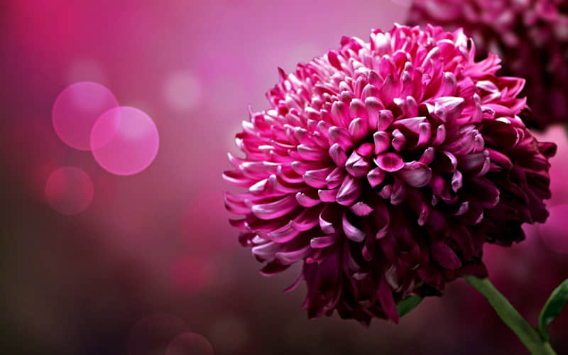 "���й��ĺ�˵�˵���Ц�İ���һ��Ц������Ȧ"