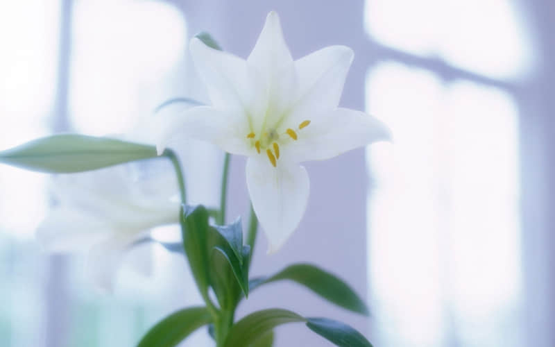 ������̫�����㿸��ס��