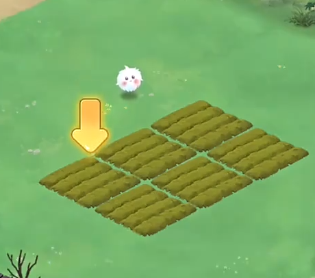 ��԰С����Ϸ������ʲô