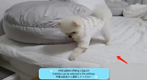 ����������ô¼����Ƶ?��������¼����Ƶ�̳�