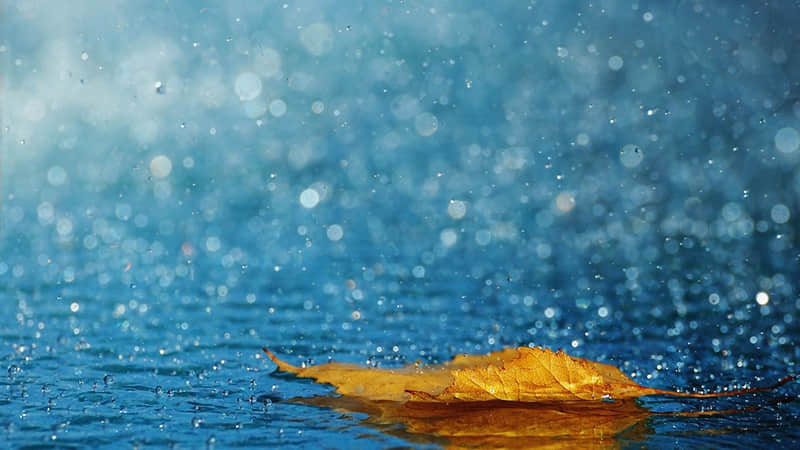 ������ʱЧ����Ƭ����������