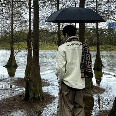 ����������������(��ѡ100��)