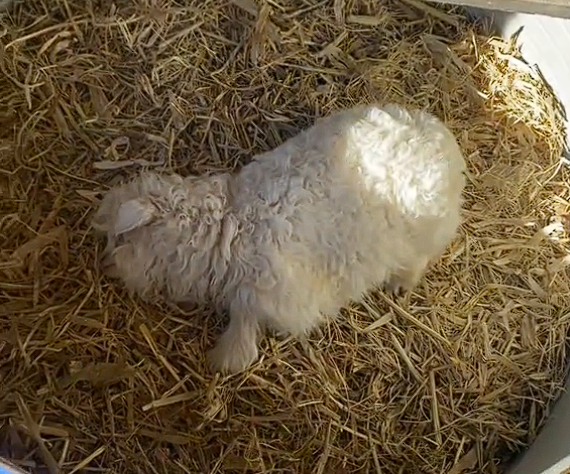 ����һ��װ����С�򱬻����� ���˳���13���󹺣�