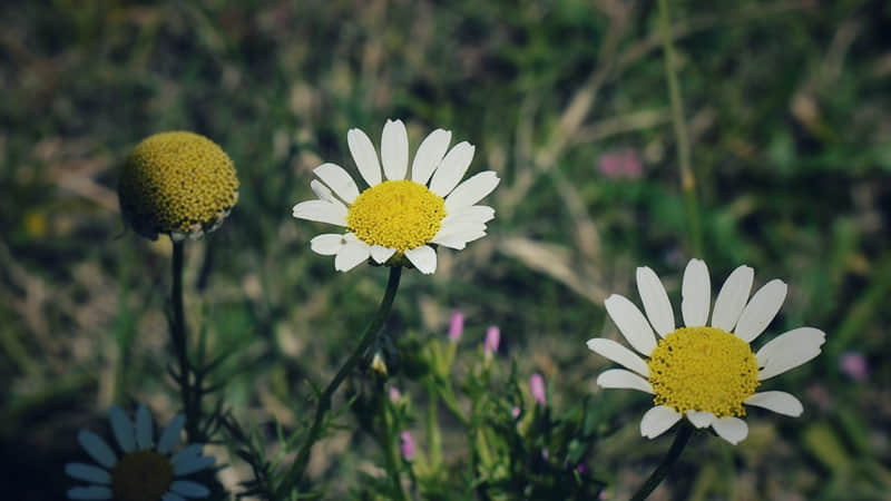 �����˵�ͨ������Խ��������Խ���㡱