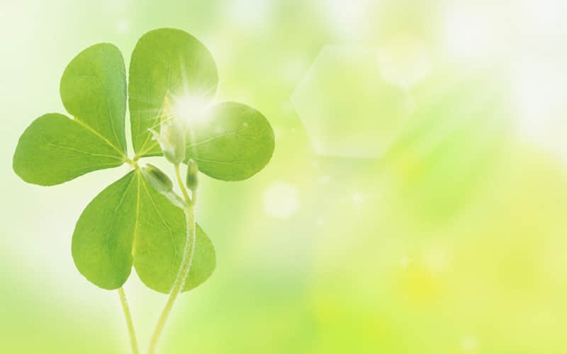 �ֲ��࣬��������