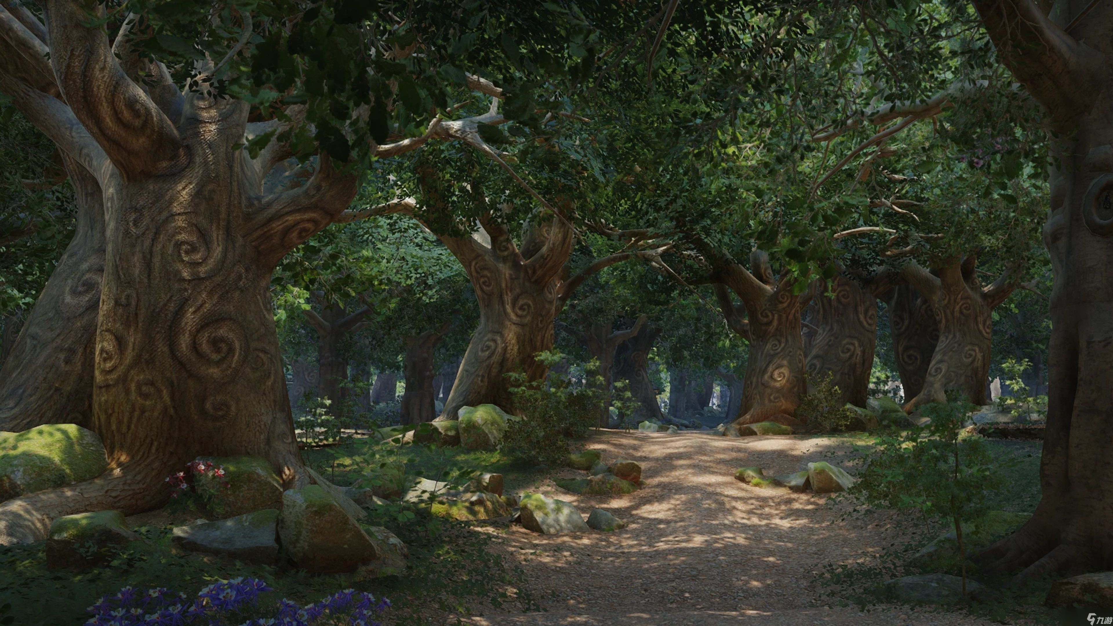 �����Ȳ����������ơ����� ��ʴ�ķ��� ���ڿ����ڡ���ʡ����������ʱ����