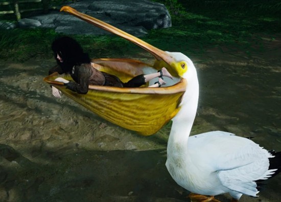 ����ʮ�����������ֵ����