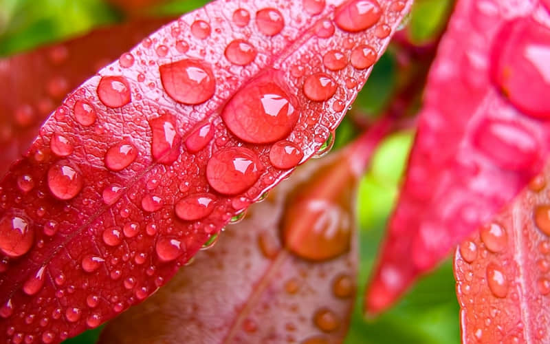 ����Խ����˵����Խ�а�ȫ�У���