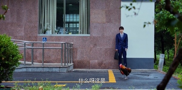 �����7���������