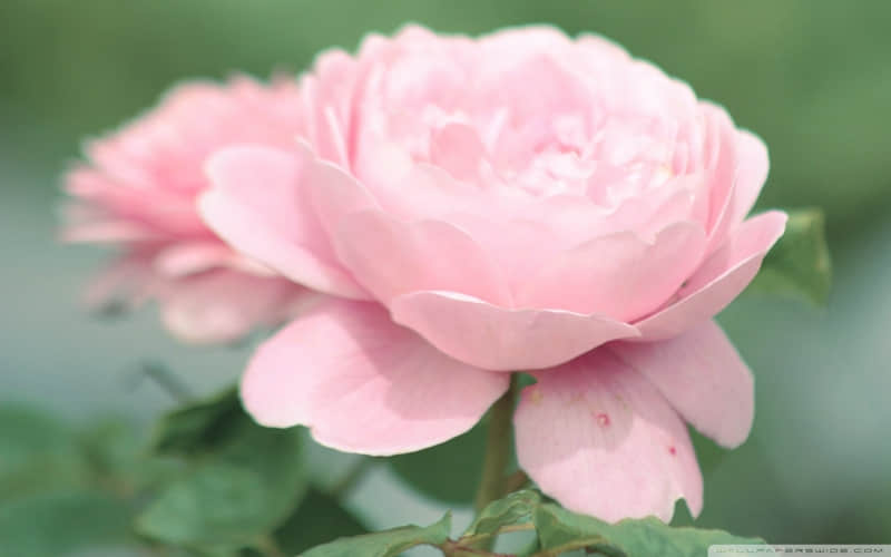 ��?�B?�B?������??����ϲ��Ӵ?????���Ҹ�???????��?��?Ȧ??�İ�"?????��