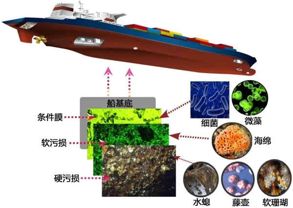 ���������ڴ��װ��Ҵ����޴���ʧ��ֱ�������뵽����취