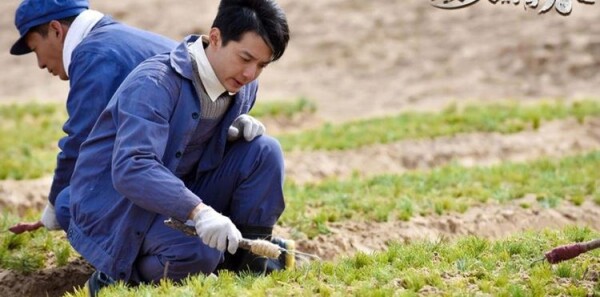 �������ഺ��1���������