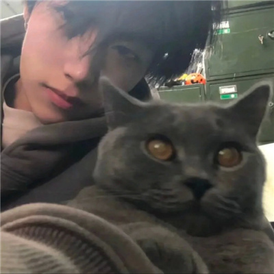 ����������ٵ���������(��ѡ100��)