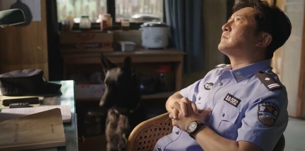 פվ��14���������