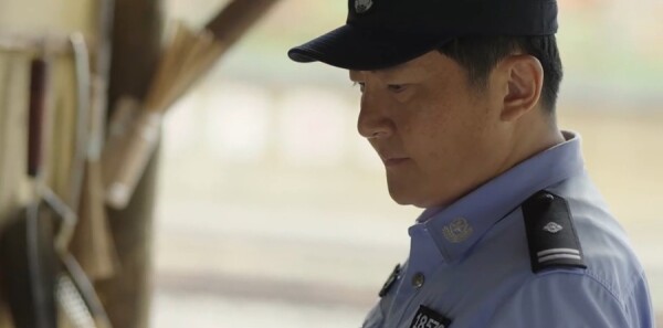 פվ��29���������