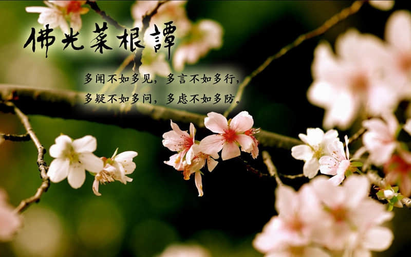 ''�����˵�����Ȧ�����ͨ͸''