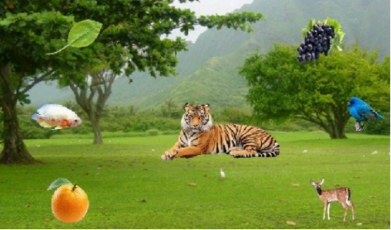 ������ʲô��Ϸ������