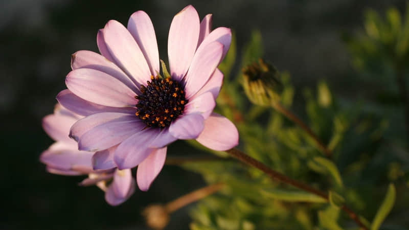 ��һ�۾ͺ�ϲ���������İ���