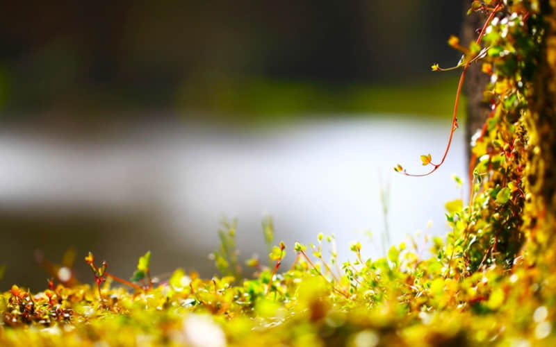 �� �����ˣ������ã���Ҫ�����㡱