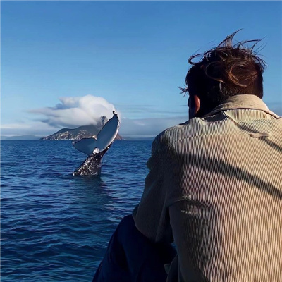 ��������������ȫ����(��ѡ100��)