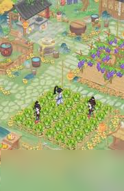 ����ǧ�ｨ���淨��ʲô