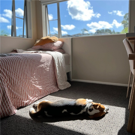 ������ͼƬ�˸���������(��ѡ100��)