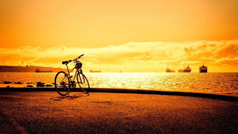 ����������������һ��ҭ���Է���??