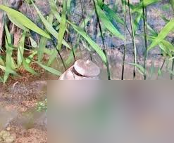 �������2ˮ���ı�������