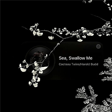 ������İ��˸���������(��ѡ100��)