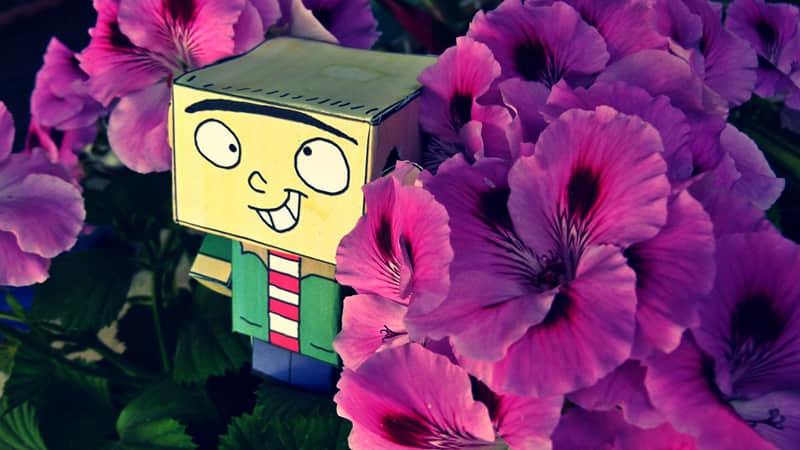 ��2?2? �����Ϊ���΢���ö��̾䣡��