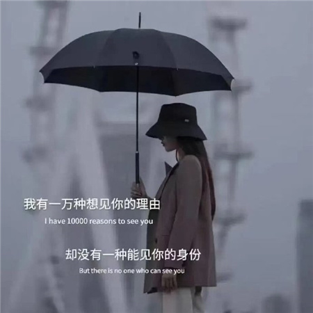 �����˸�����Ӣ������(��ѡ100��)