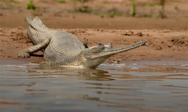 ������������ͬ�����������кܶ�ط��������� ����Ҳ�����������