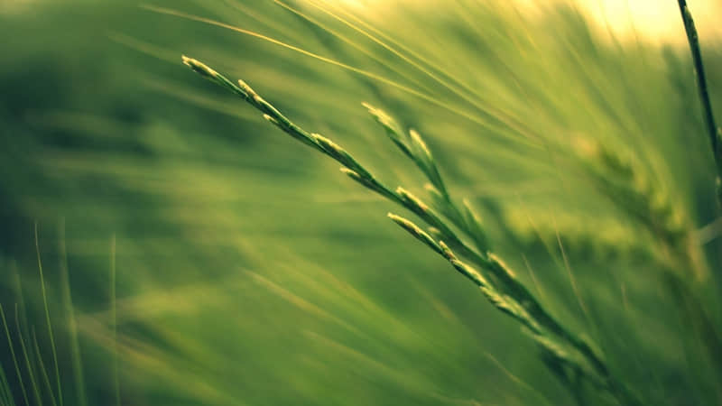 �����������ֻ��˵'�������'�������������䣬������??