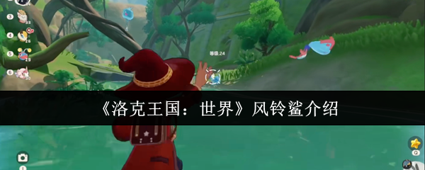 ������������������ô��  �������������������