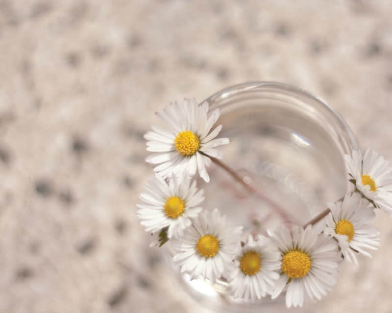 ������Ȧ��������100%�����š�