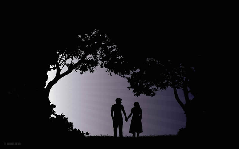 ��������һ�������Լ���