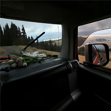 ���������˸б���ͼ����(��ѡ100��)