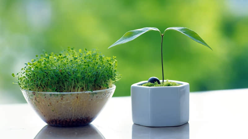 "????????������һ�������Լ�"