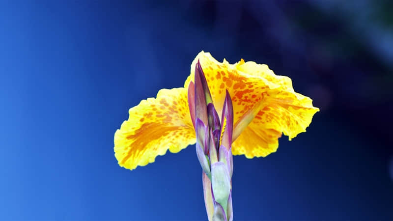 ������Ұһ�㣬ȥ�ѶԷ���ø¸�Ц��